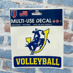 Decal-Volleyball